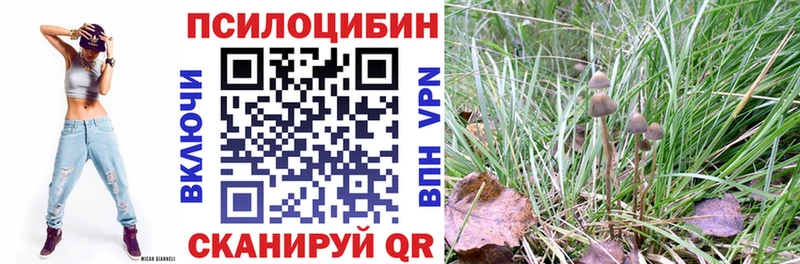 Псилоцибиновые грибы Cubensis  МЕГА ССЫЛКА  Чаплыгин  цены наркотик 