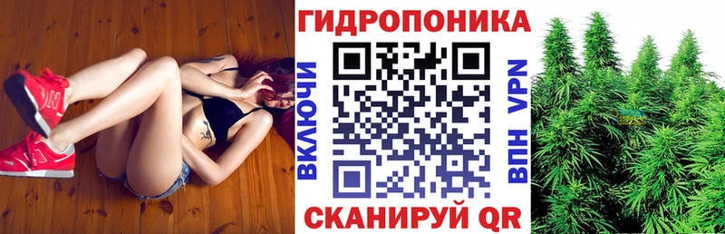 хочу наркоту  Чаплыгин  Конопля Ganja 